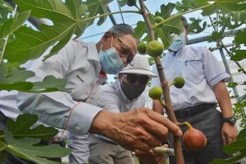 Lawatan YB Menteri Jabatan Perdana Menteri (Ekonomi)  ke Tapak Projek Gedung Makanan Negara