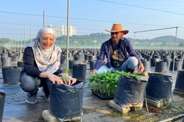 Projek Inisiatif Pendapatan Rakyat, Usahawan Tani (IPR-INTAN)