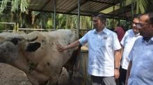 Lawatan Kerja YBM ke Ladang Ternakan Lembu Sado