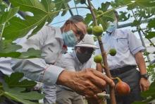 Lawatan YB Menteri Jabatan Perdana Menteri (Ekonomi)  ke Tapak Projek Gedung Makanan Negara