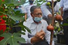 Lawatan YB Menteri Jabatan Perdana Menteri (Ekonomi)  ke Tapak Projek Gedung Makanan Negara