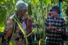 LAWATAN RASMI KE TAPAK PROJEK IPR – USAHAWAN TANI